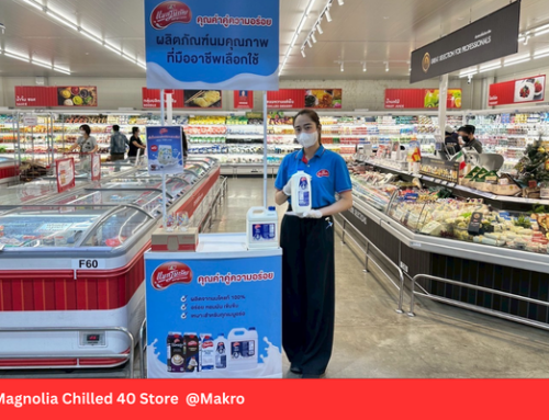 Magnolia Chilled 40 Store